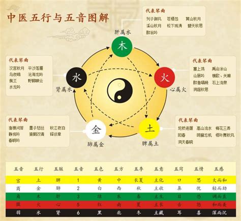 五行健康躁|中医